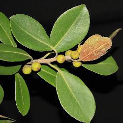 Image: Trevor James © Trevor James 